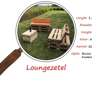 Loungezetel + kussen