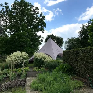 Stertent